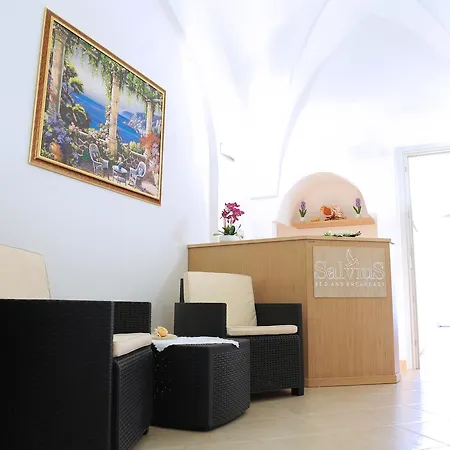 Bed & Breakfast Salvius Salve